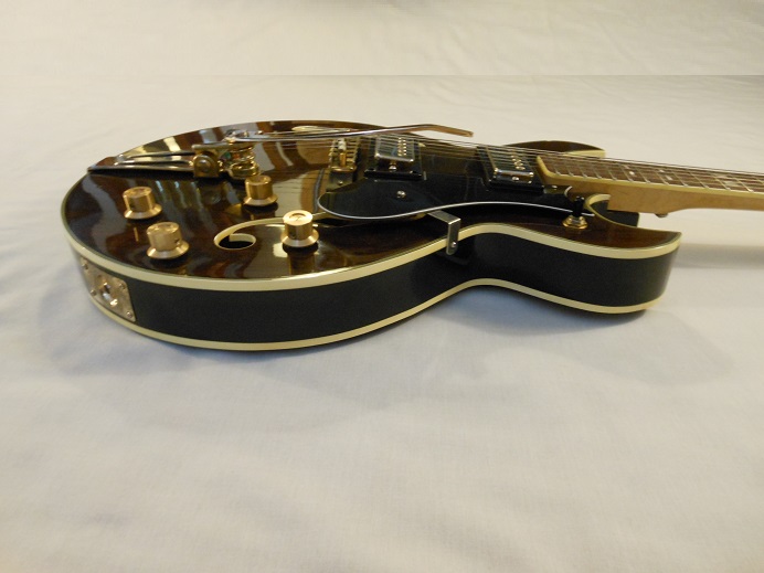 HollowBodyRosewood Picture 10